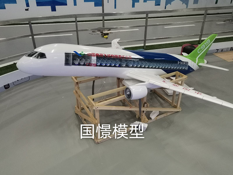 礼县飞机模型