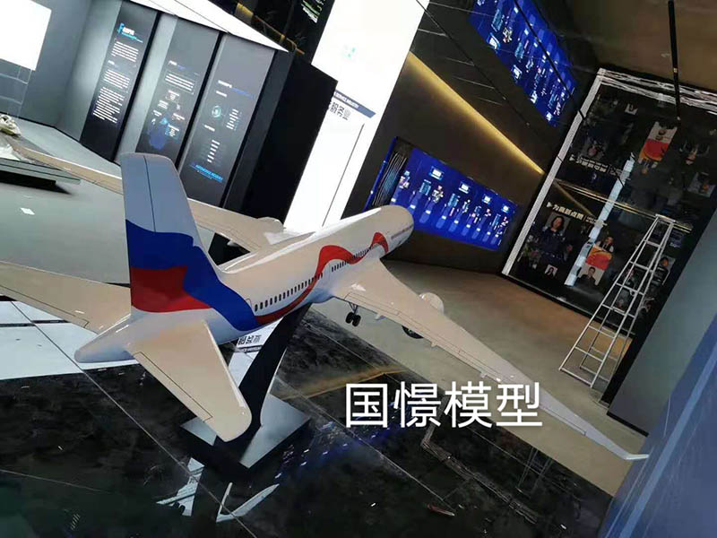 礼县飞机模型
